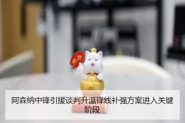 阿森纳中锋引援谈判升温锋线补强方案进入关键阶段